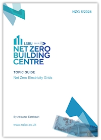 Net Zero Electricity grids (NZG 5/2024) 